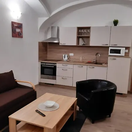 Martinuv Dvur Apartment Plzen Exterior photo