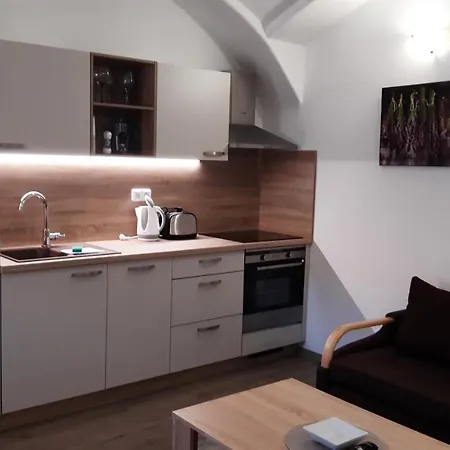 Martinuv Dvur Apartment Plzen Exterior photo