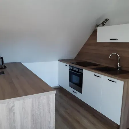 Martinuv Dvur Apartment Plzen Exterior photo