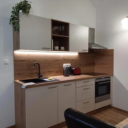 Martinuv Dvur Apartment Plzen Exterior photo