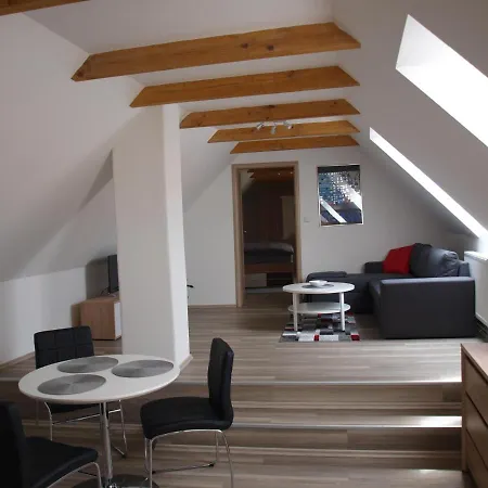 Martinuv Dvur Apartment Plzen Exterior photo