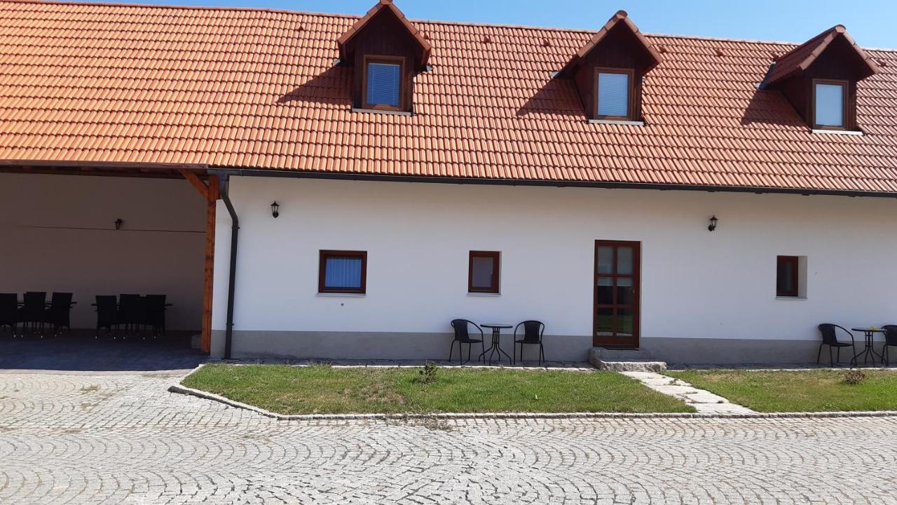 Martinuv Dvur Apartment Plzen
