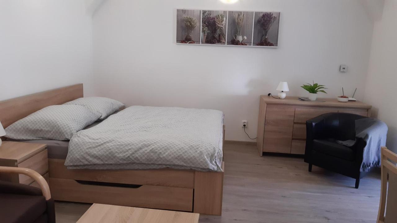 Martinuv Dvur Apartment Plzen