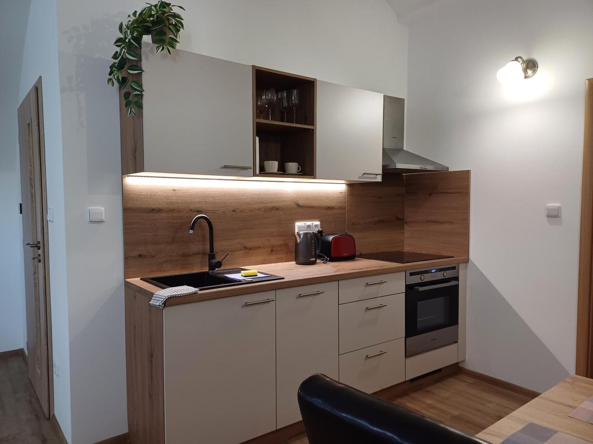 Apartment Martinuv Dvur *